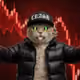 536