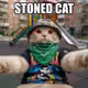 167