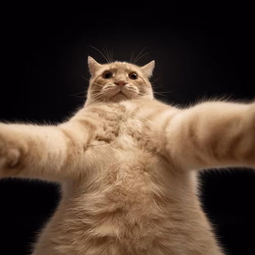 353