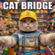 463