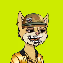50