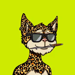 620
