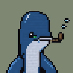 WHALES #0776