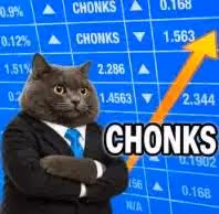 CHONKS