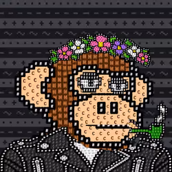 Chimpzo #504