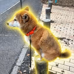 SOP