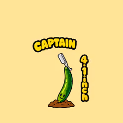 1361