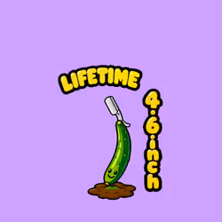 1212