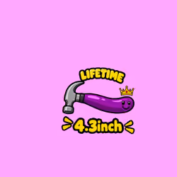 337