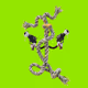 ROPE-IN-HOOD #272