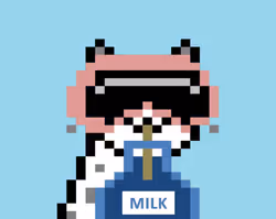 Item Media
