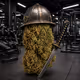 Robin Bud #6430