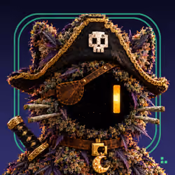 CannaCat V2 #43