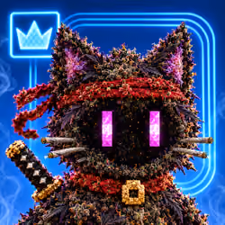 CannaCat V2 #322