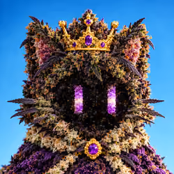 CannaCat V2 #146