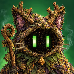 CannaCat V2 #351