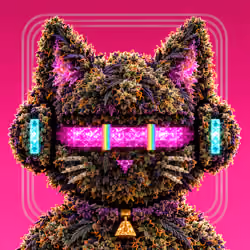 CannaCat V2 #104