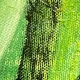 Bound by the Green