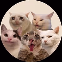 CASHCATSLLC