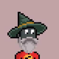 Wezard #1244