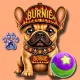 Feed Burnie