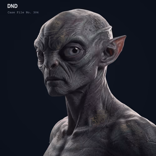 DND #306