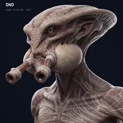 DND #383