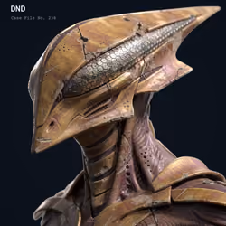 DND #238
