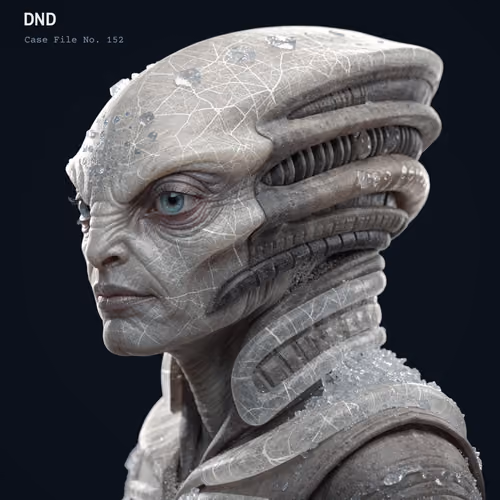 DND #152