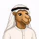 CAMEL OF SAUDIO