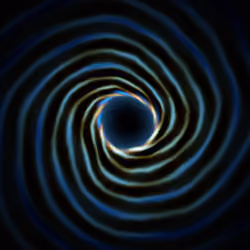 Portal #3205