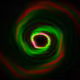 Portal #1994