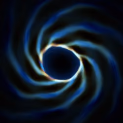Portal #1705