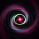 Portal #1013