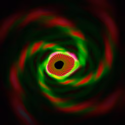 Portal #874