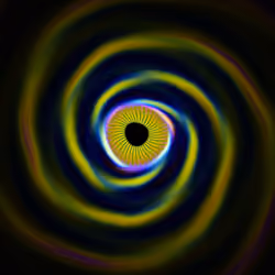 Portal #2639