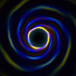 Portal #184