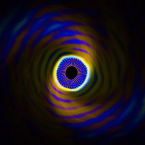 Portal #3116