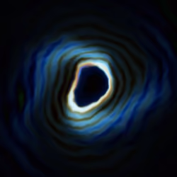 Portal #961