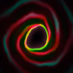 Portal #1139