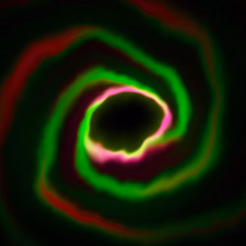Portal #3229