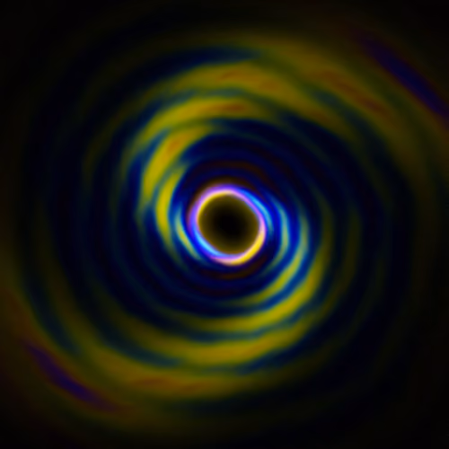 Portal #1444