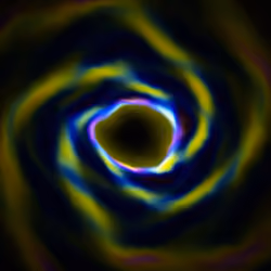 Portal #85