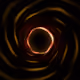 Portal #2003