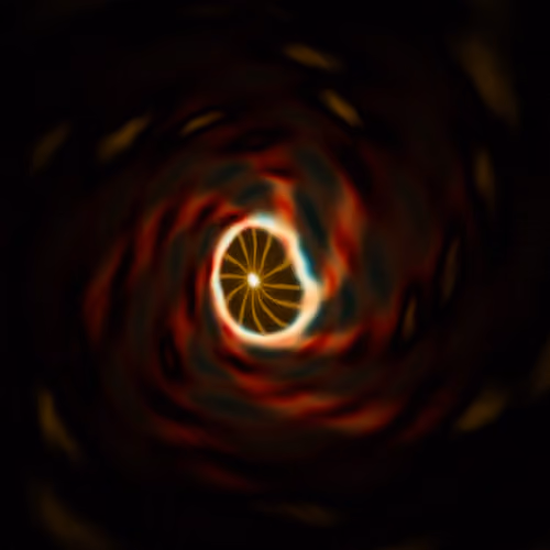 Portal #1118