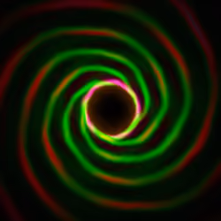 Portal #1441