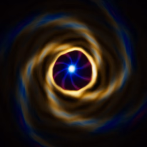Portal #2010