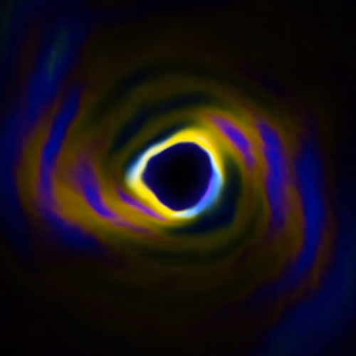Portal #1286