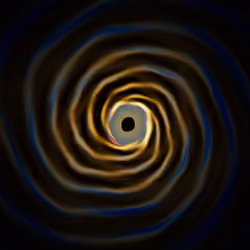 Portal #3202