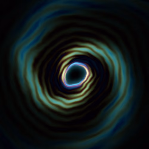 Portal #1655
